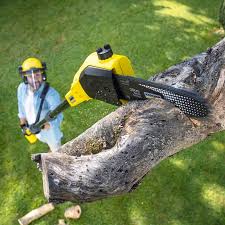 Best Lawn Renovation and Restoration  in Matthews, NC